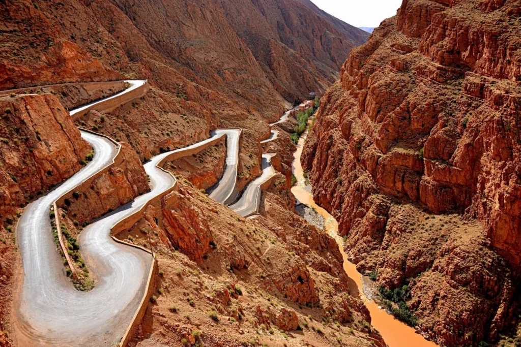 motorcycle rental